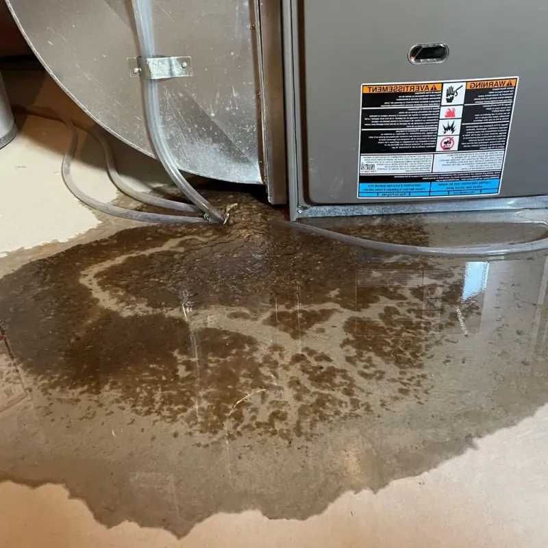 Pipe Burst and Leak Restoration in Vevay, IN